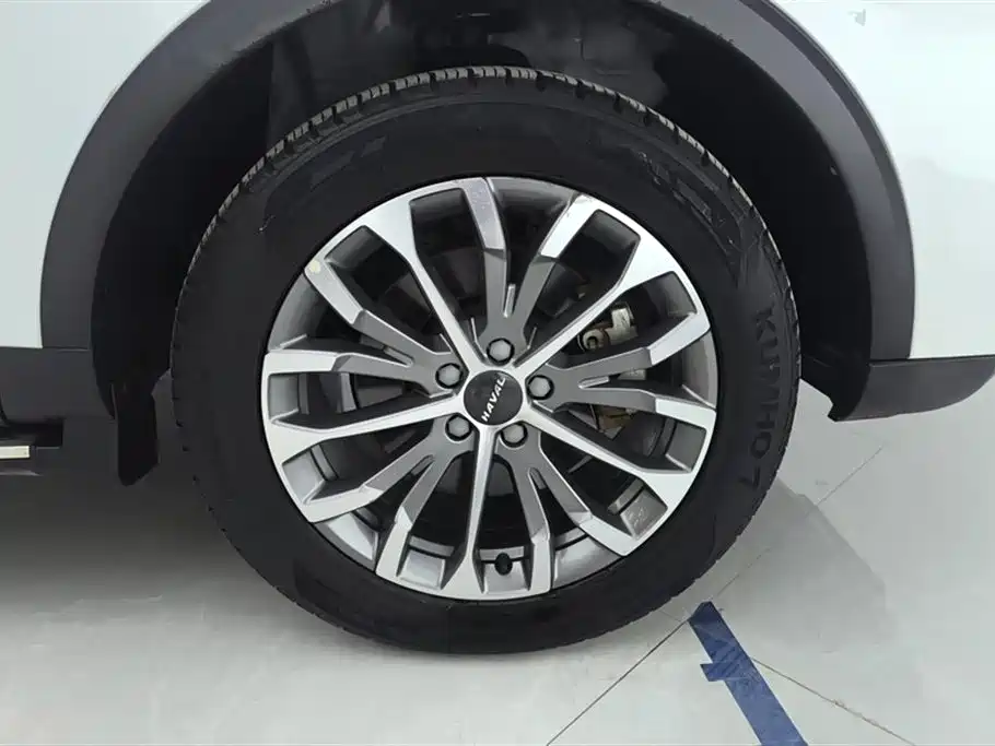 Haval H6 2020 1.5GDIT Automatic Platinum Luxury Edition фото 6