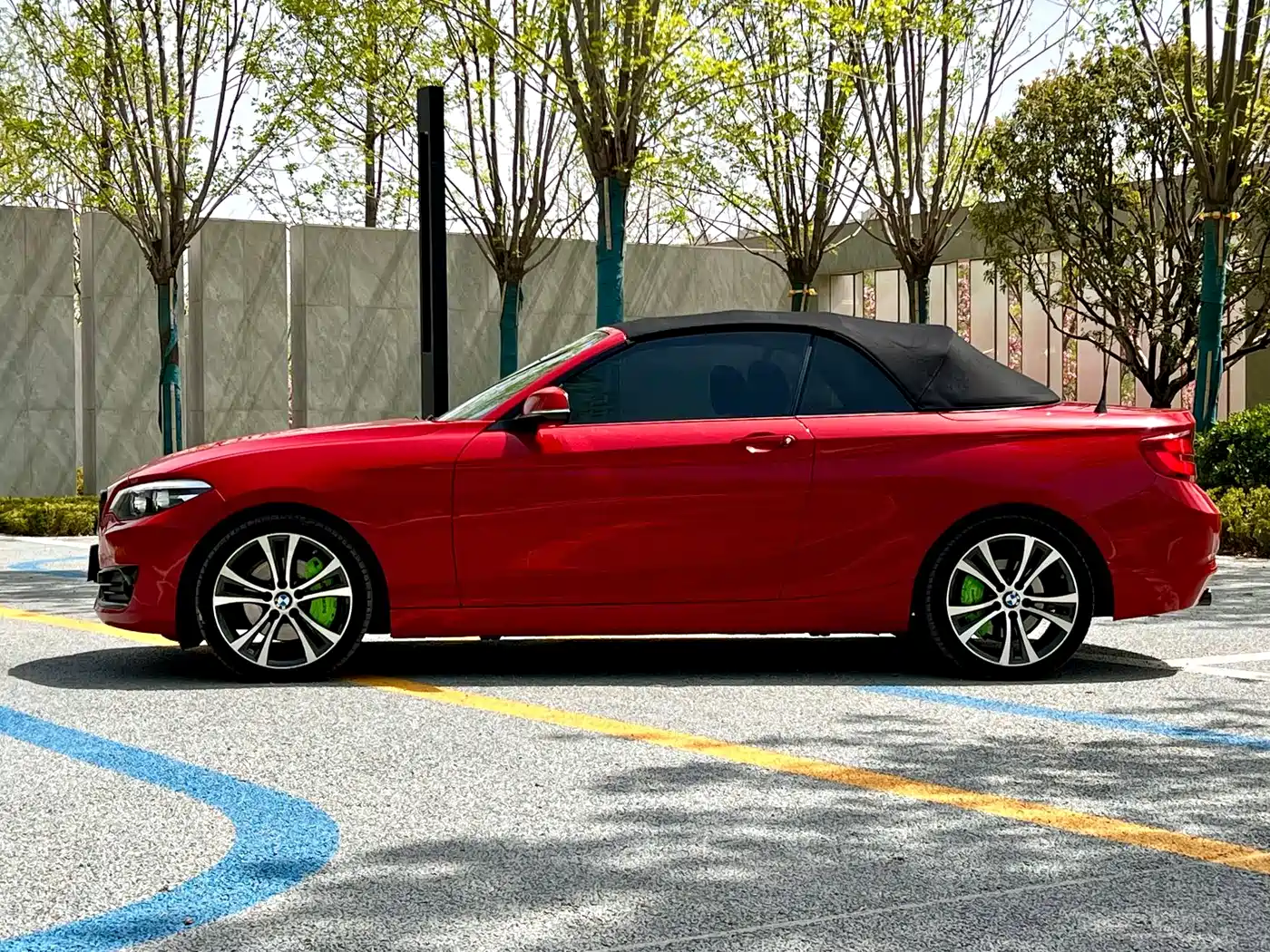 BMW 2 Series (Import) 2019 225i Convertible Coupe Sport Design Package фото 18