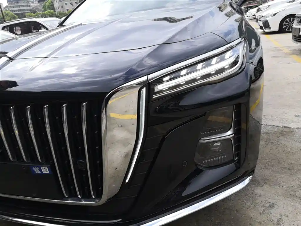 Hongqi H5 2024 2.0T Automatic Smart Connect Flag Enjoy Edition фото 24