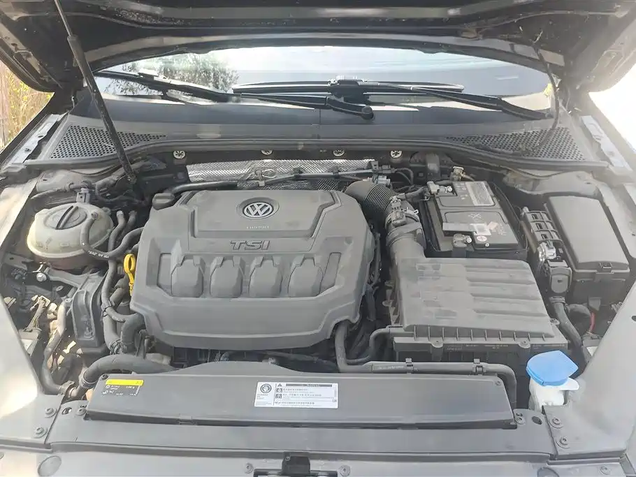 Volkswagen Magotan 2019 330TSI DSG Luxury China V фото 10