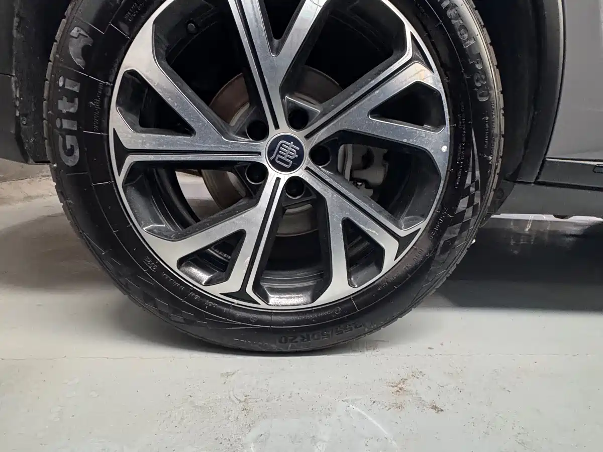 BYD Tang New Energy 2025 Smart Driving Edition DM-i 115KM Flagship фото 23