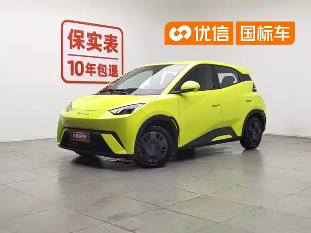  BYD Seagull 2023 Vitality Edition