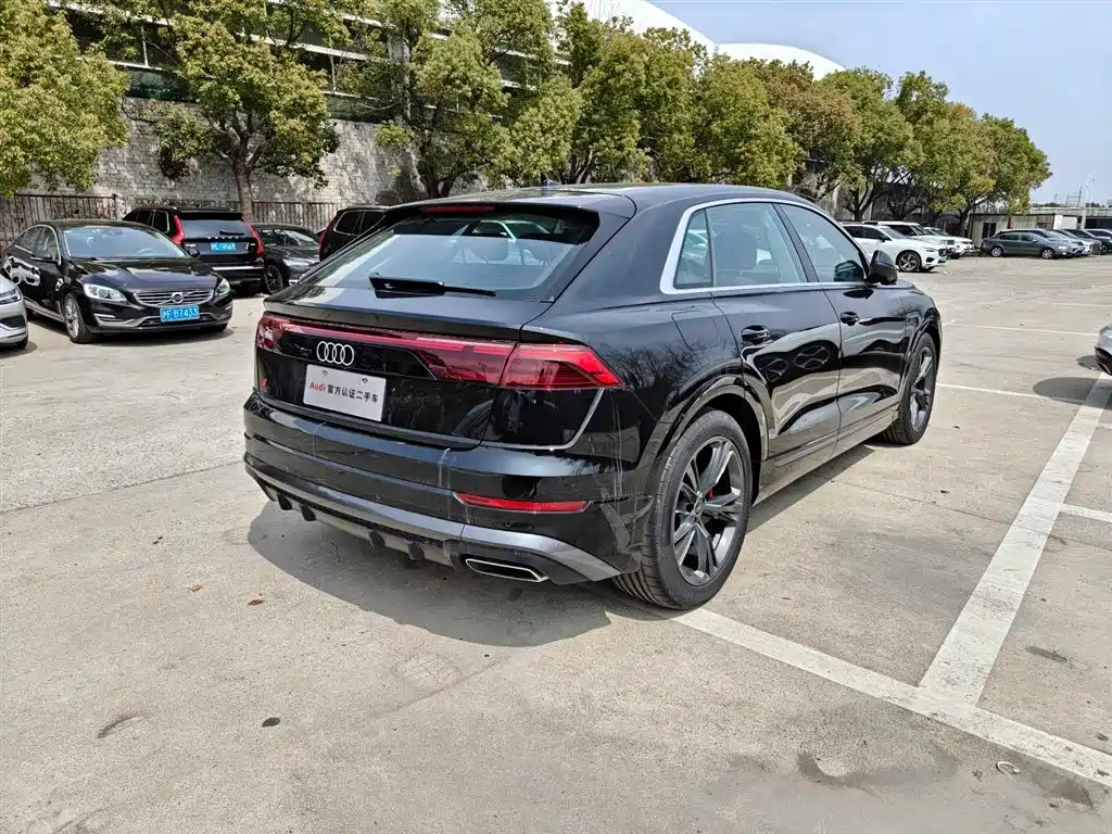 Audi Q8 2024 55 TFSI Luxury Sport фото 4