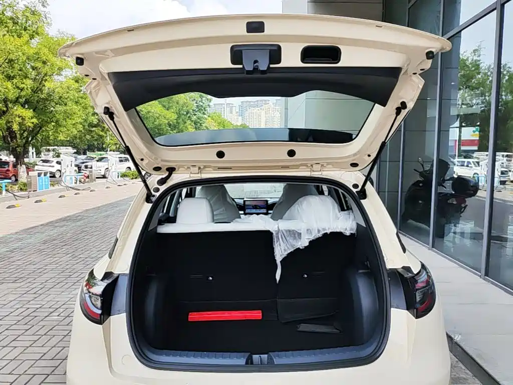Geely Galaxy Starry Wish 2026 2026 Edition 310km Youth Version