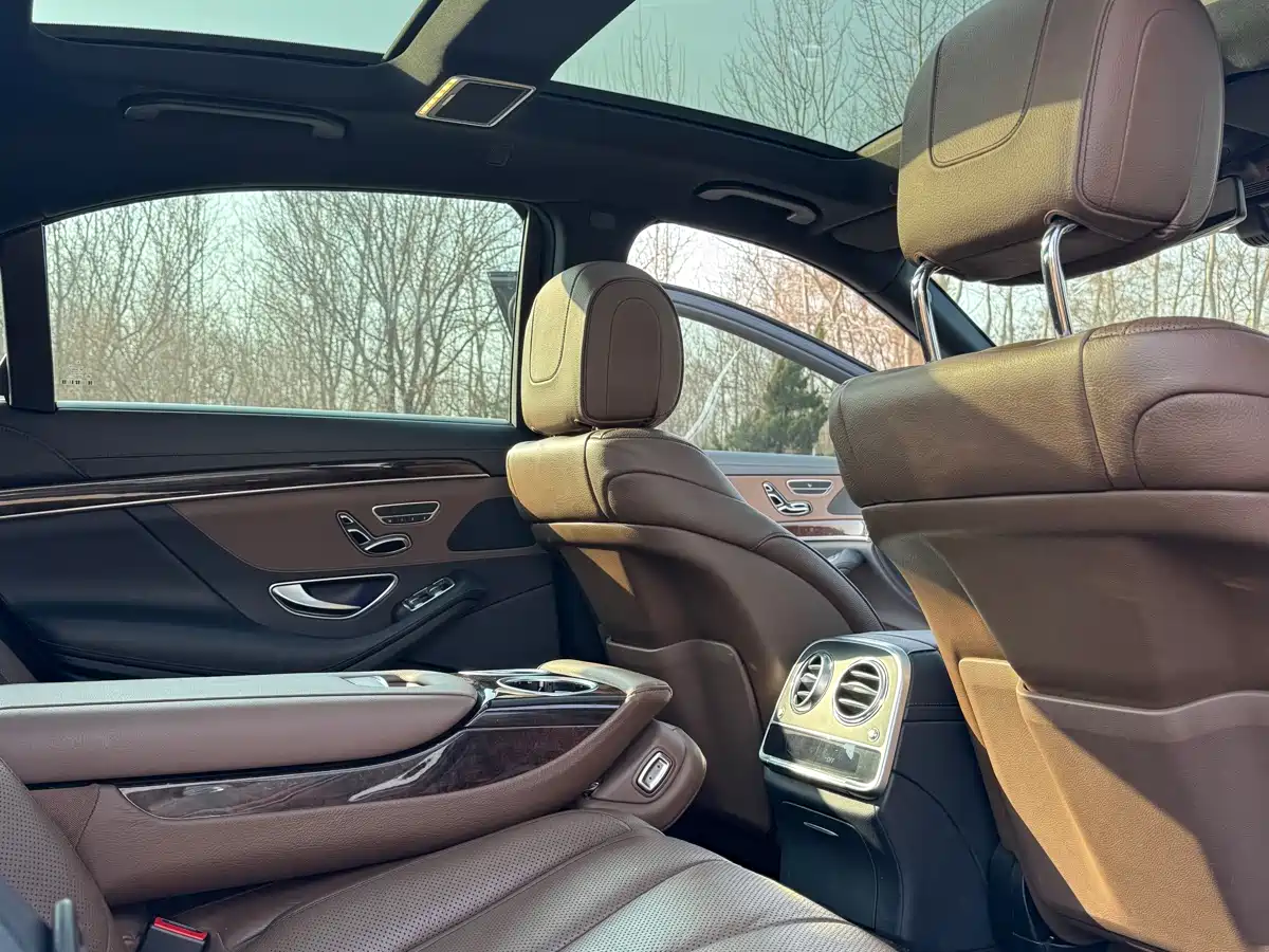 Mercedes-Benz S-Class 2018 S 450 L фото 9