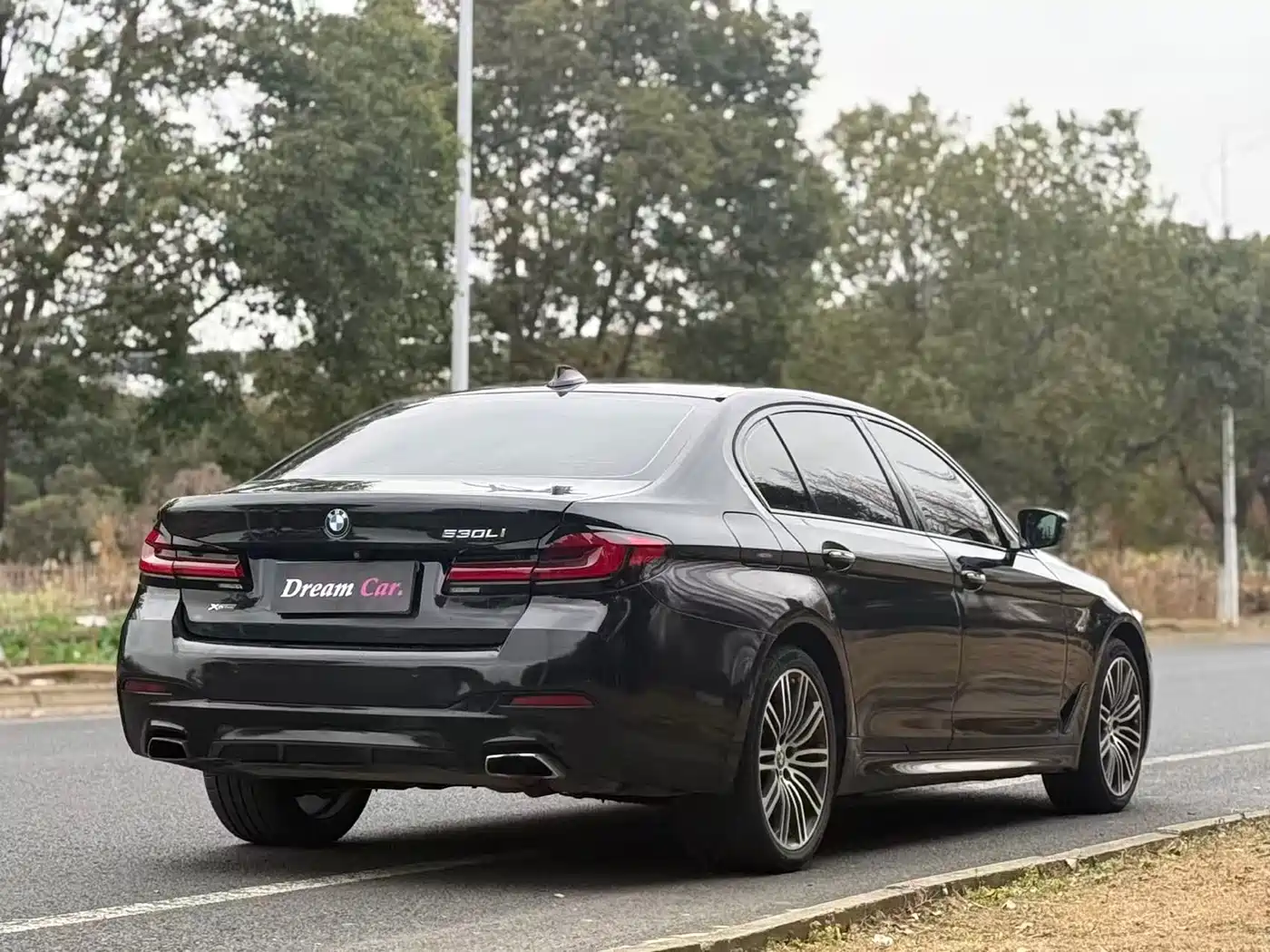BMW 5 Series 2018 530Li xDrive M Sport Package фото 4