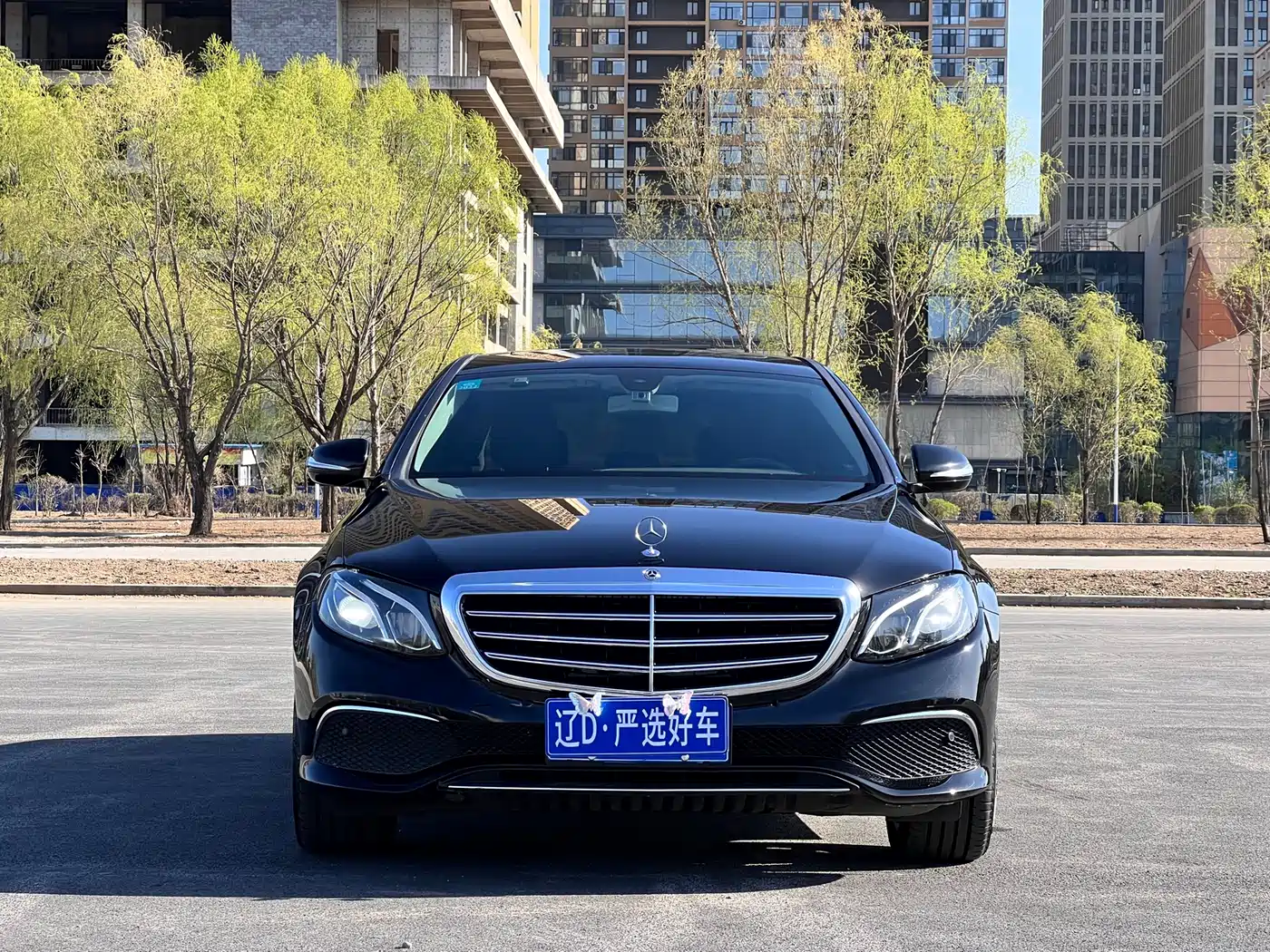 Mercedes-Benz E-Class 2018 E 200 L 4MATIC фото 2