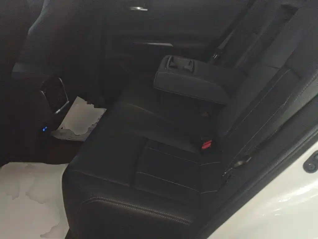 Toyota Lingfang HARRIER 2022 2022 2.0L CVT 2WD Premium Edition