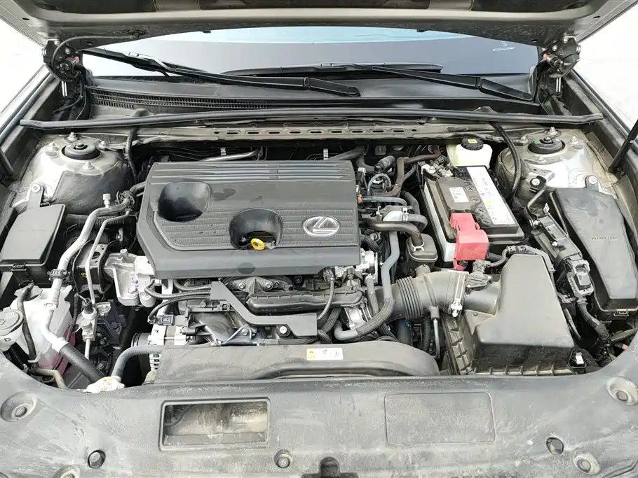 Lexus ES 2024 200 Premium Edition фото 10