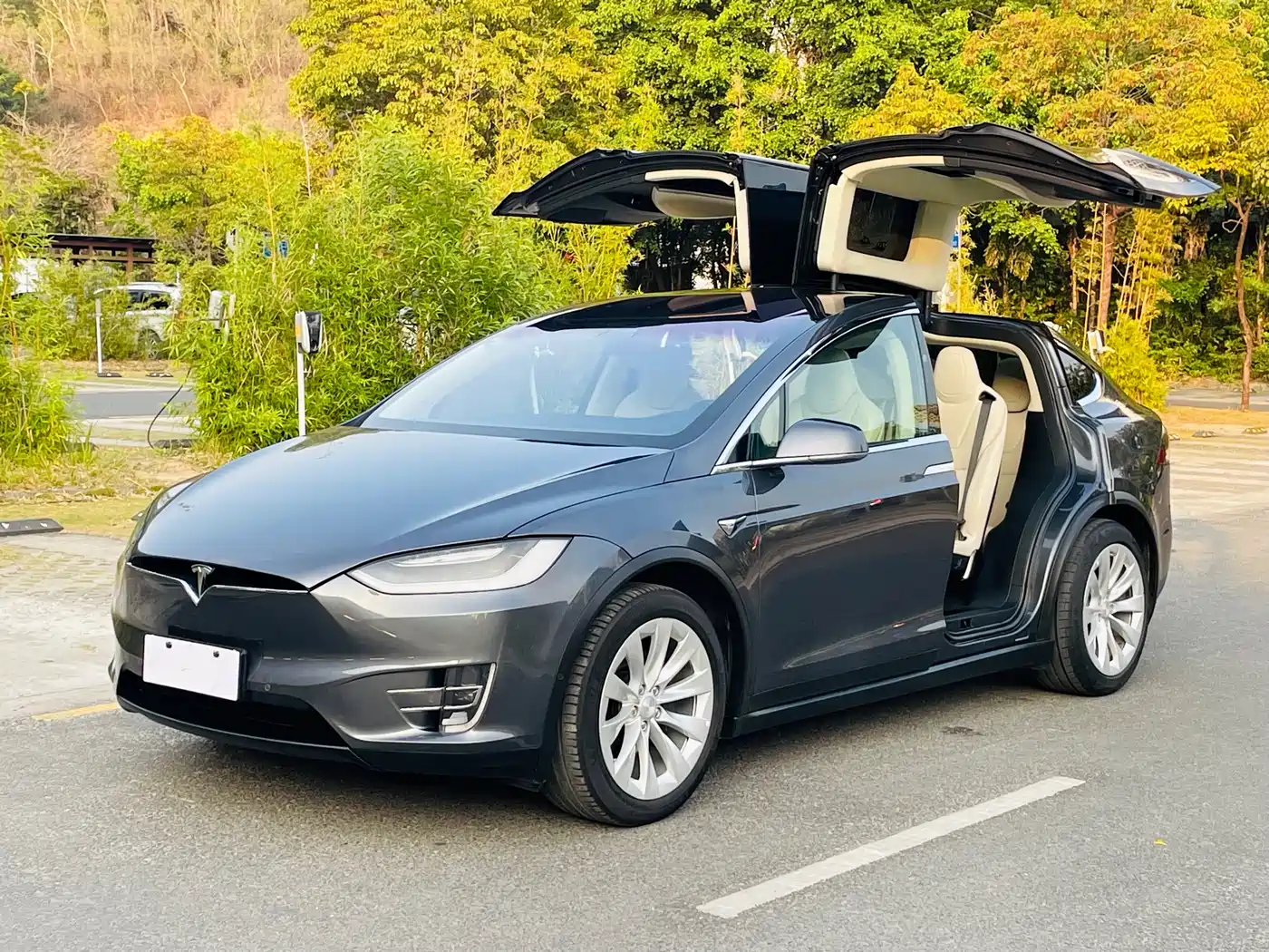 TESLA MODEL X