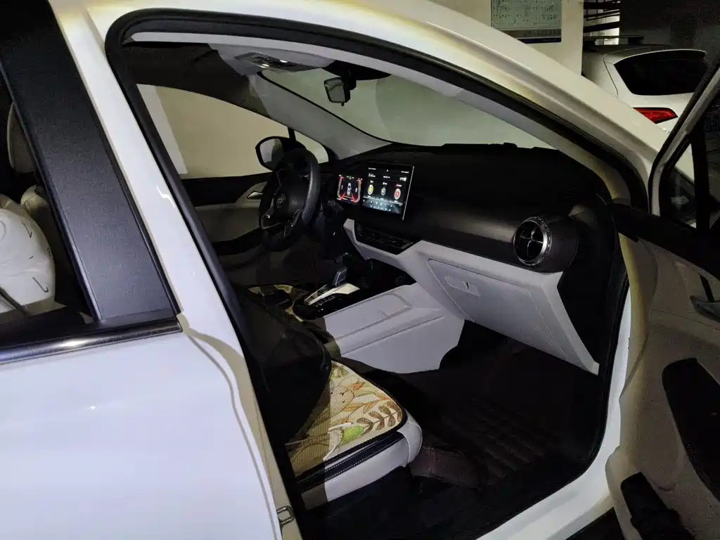 BYD Yuan Pro 2022 2021 401KM Premium Model