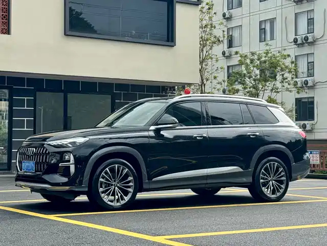 Audi Q6 2024 45 TFSI quattro Black Warrior Edition 6-seater
