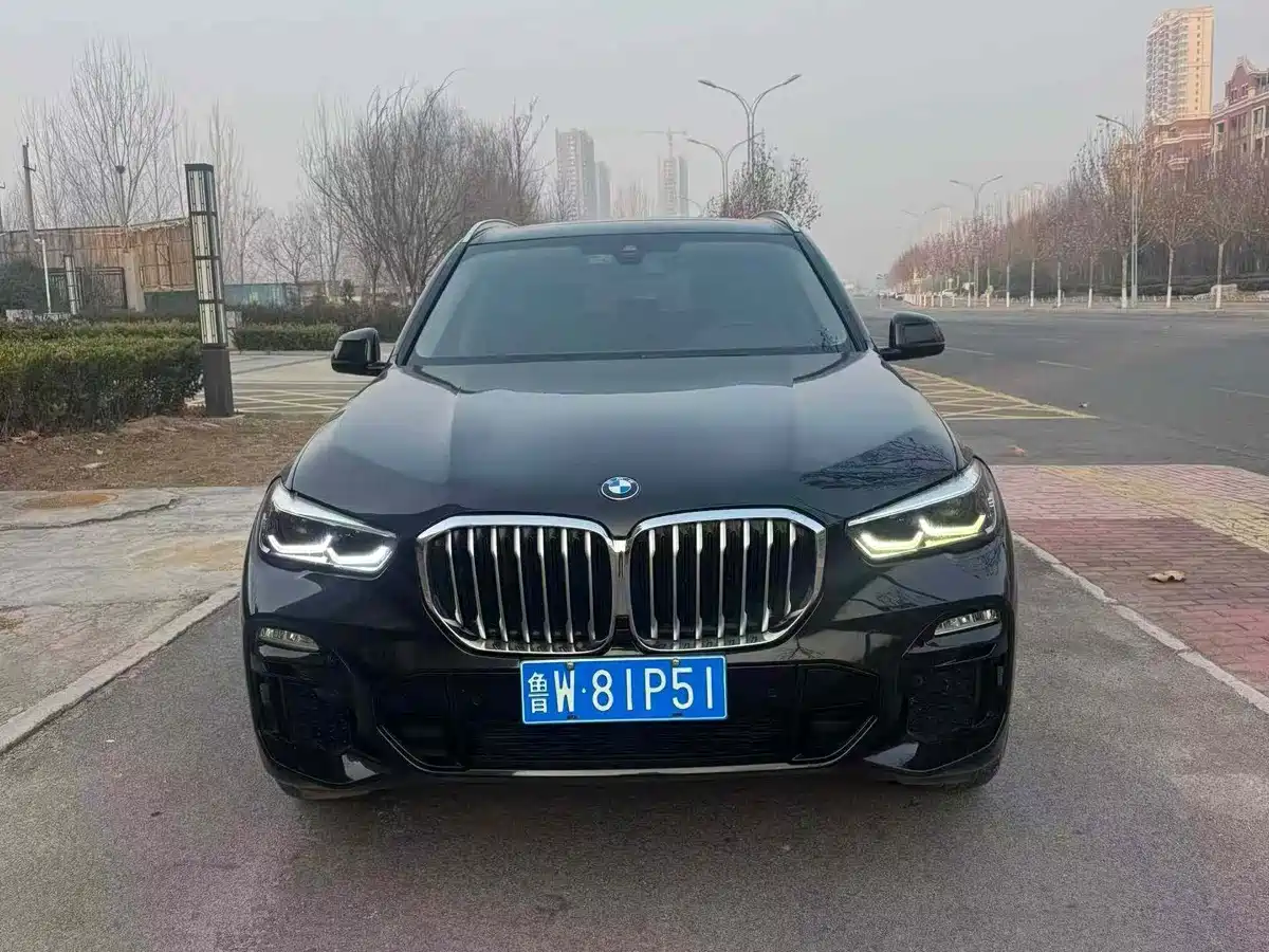 BMW X5 (Import) 2019 xDrive30i M Sport Package