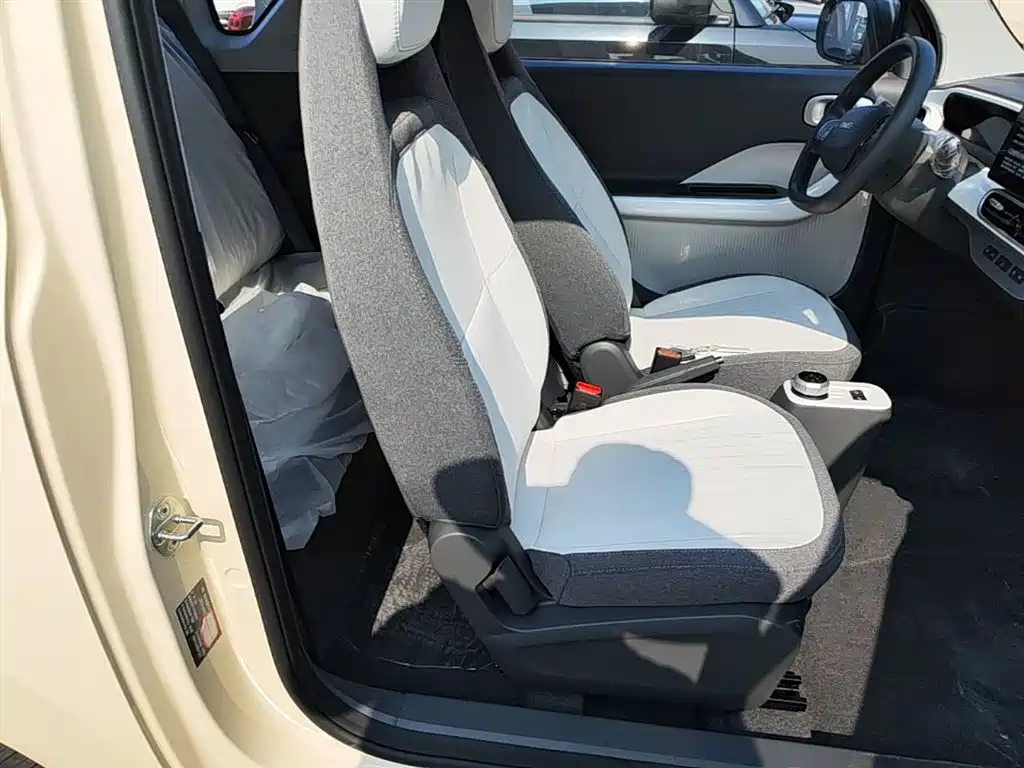 Geely Galaxy Panda 2025 Panda mini 210km Vitality Bear фото 25