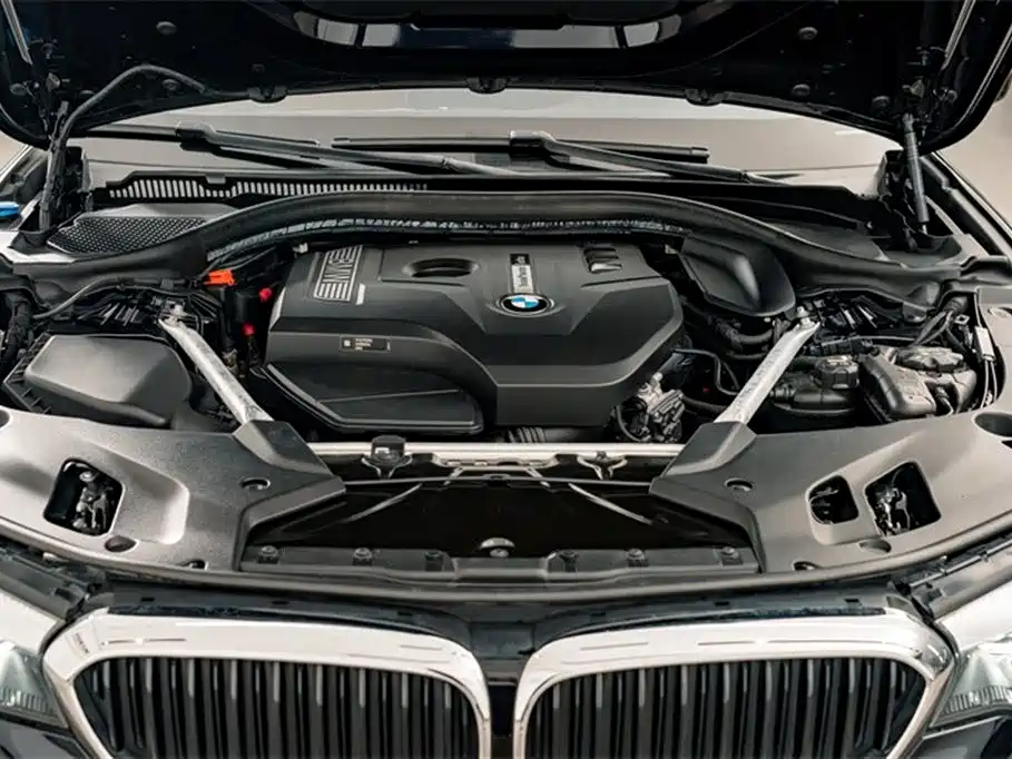 BMW 5 Series 2019 530Li Leading M Sport Package фото 24