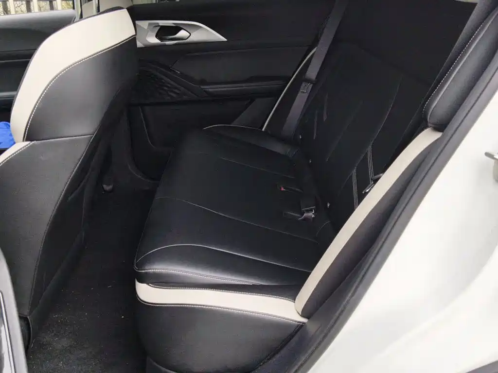 Geely Geometry E Firefly 2022 2022 320KM Well-behaved Tiger 4-seater