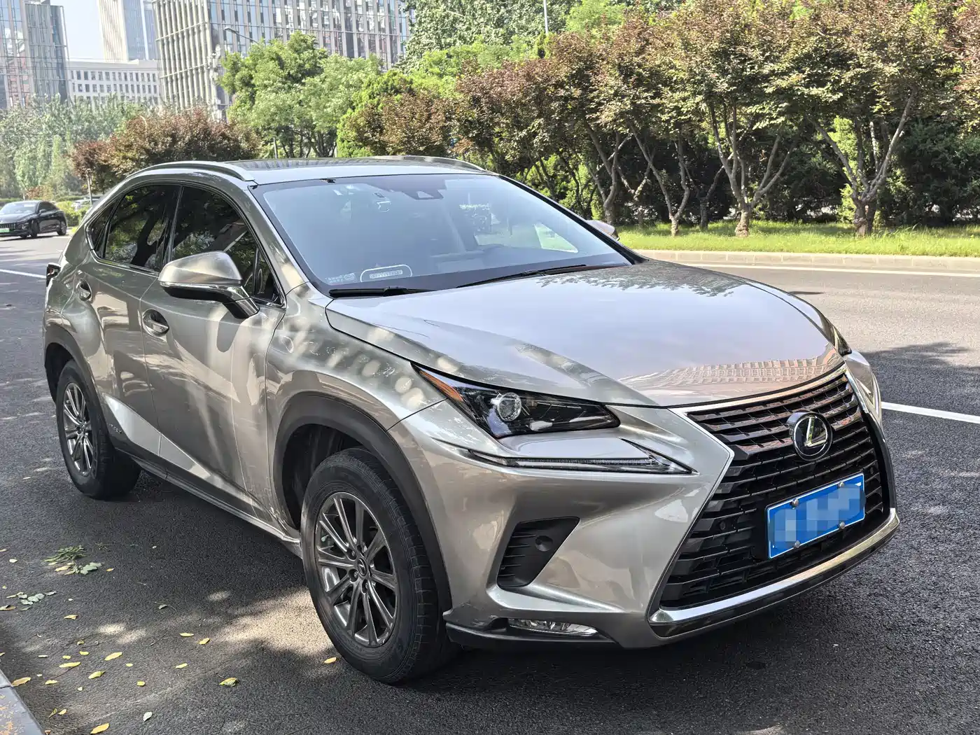Lexus NX 2020 300h FWD F Sport China V фото 6