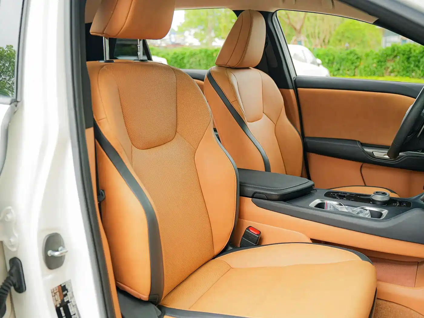 Lexus RZ 2023 450e 4WD Deluxe фото 12