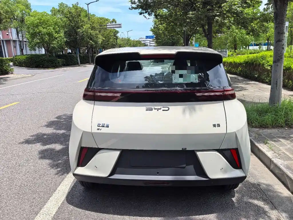 BYD Seagull 2026 2025 Smart Drive Edition 305km Vitality Version