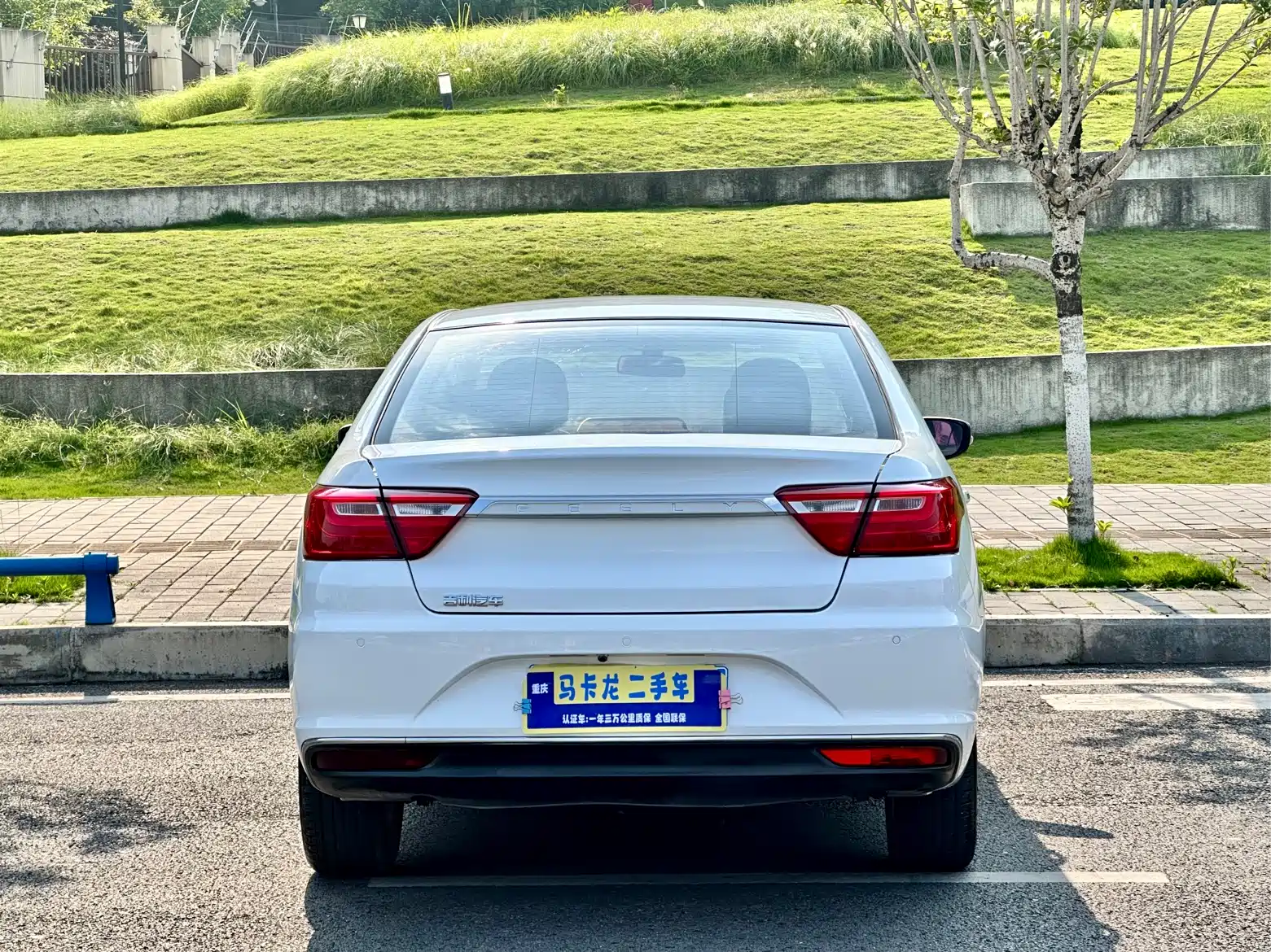 Фото 5 - Geely Vision