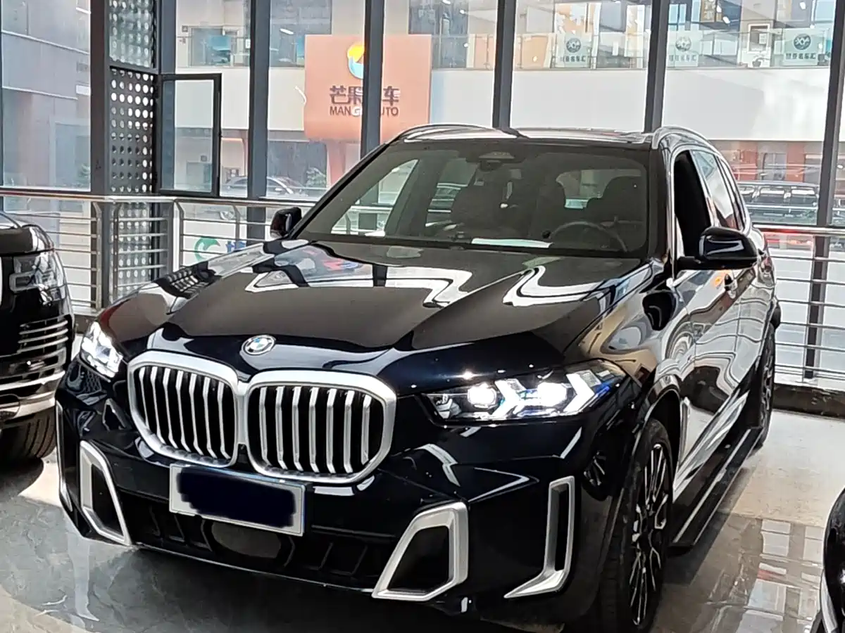 BMW X5 2023 xDrive 40Li M Sport Black Night Package фото 2