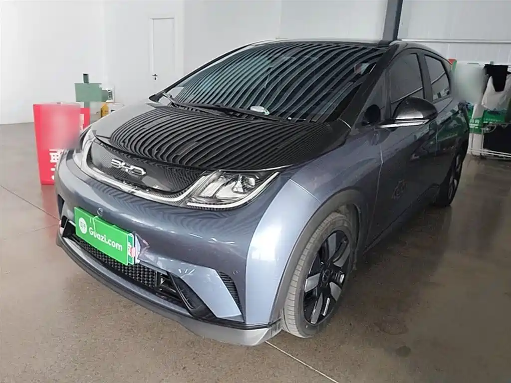 BYD Dolphin 2023 401km Knight Edition фото 2