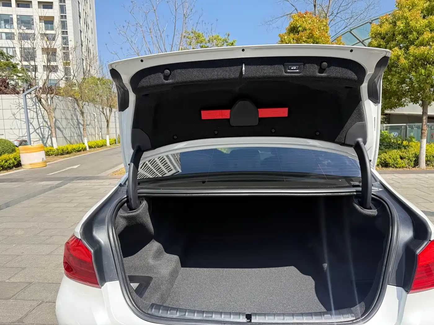 BMW 5 Series 2019 530Li Leading Luxury Package фото 39