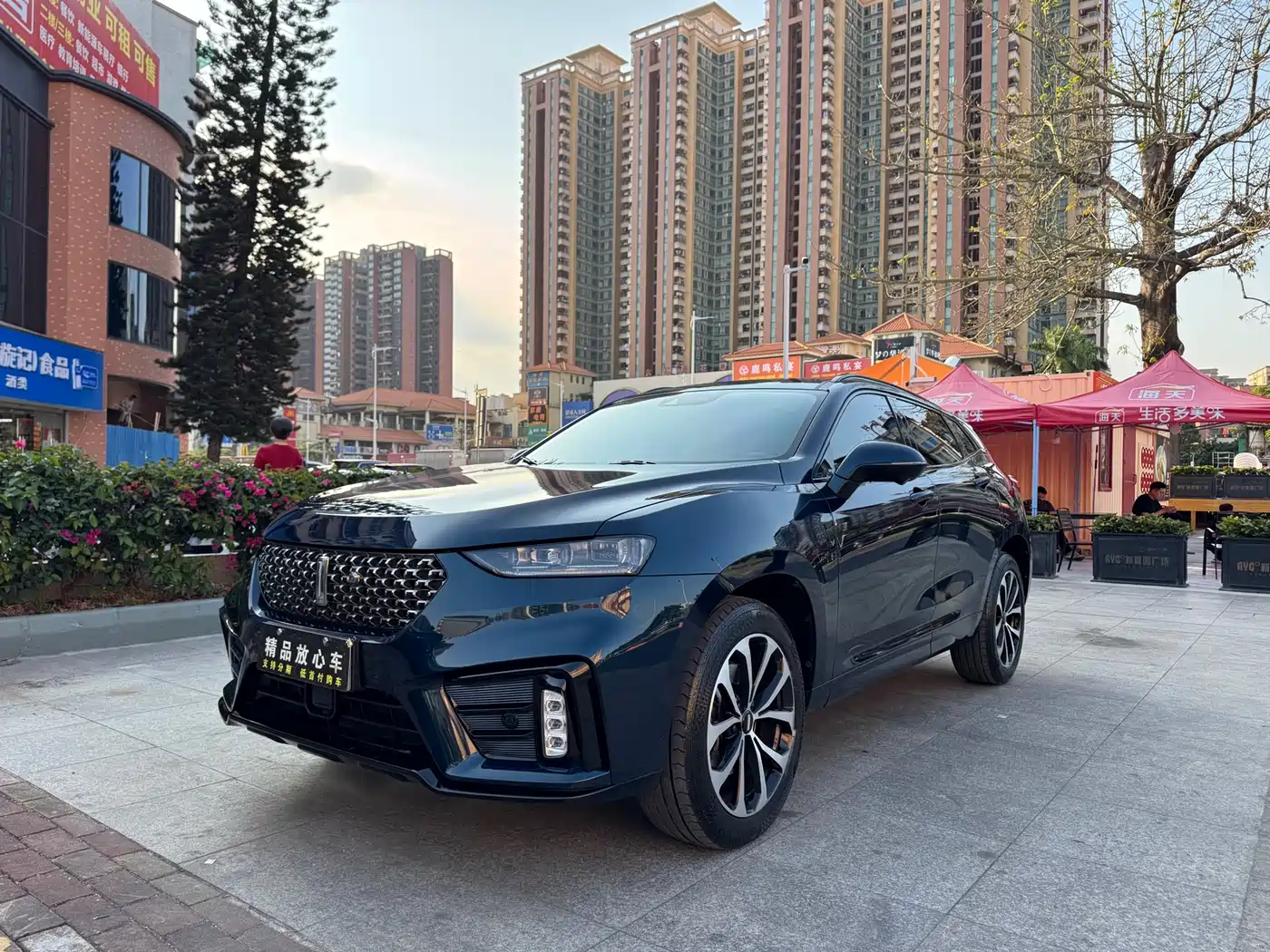 WEI PAI WEI BRAND VV7