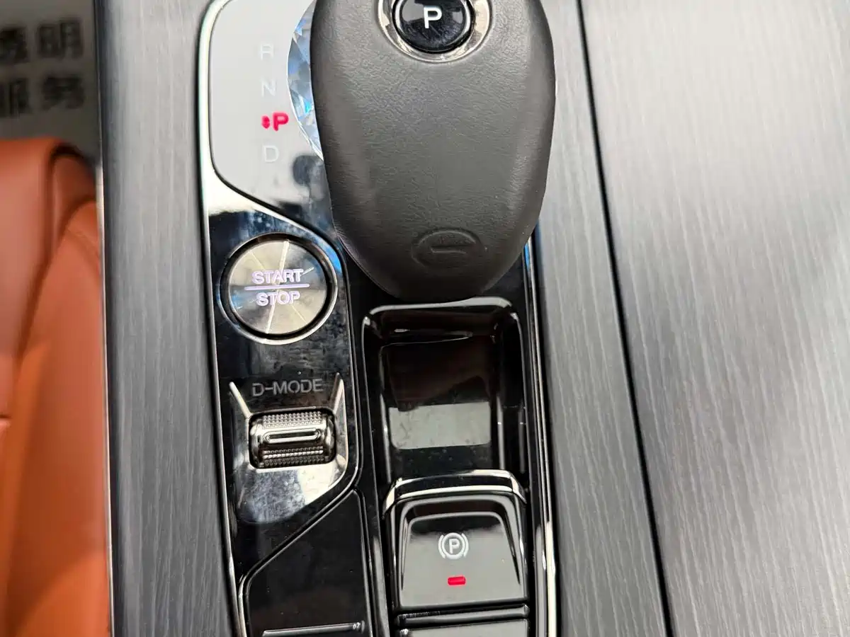 GAC Trumpchi Trumpchi E9 2024 E9 Lunar New Year Edition фото 24