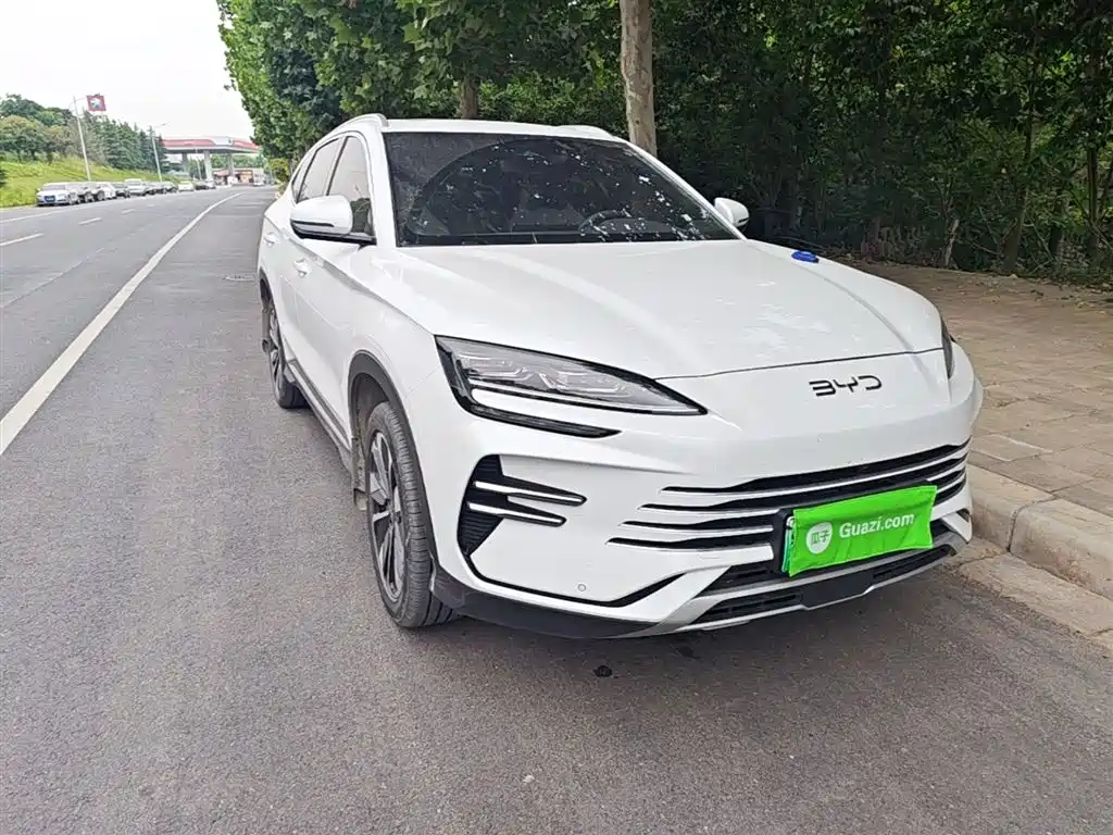 BYD Song PLUS PHEV 2025 DM-i 112KM Honor фото 4