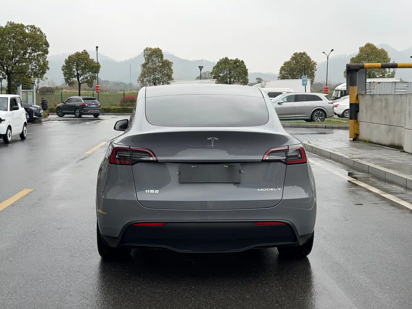 TESLA MODEL Y