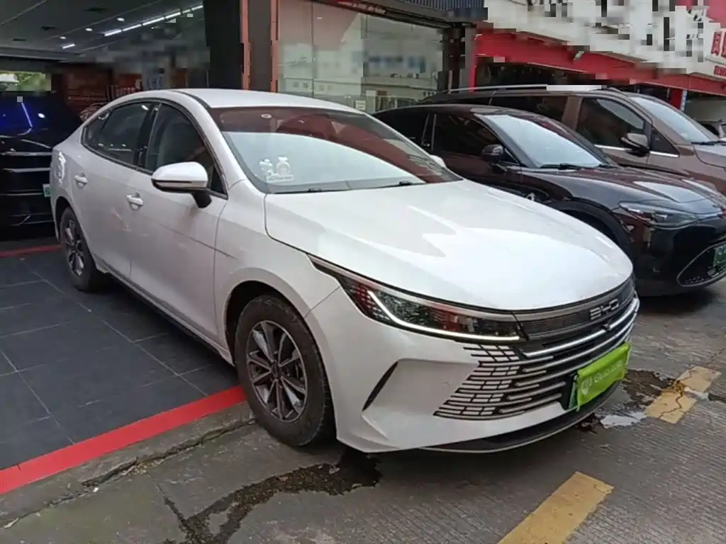 BYD Destroyer 05 2024 Glory Edition DM-i 55KM Luxury фото 4