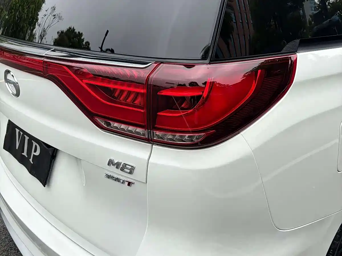 GAC Trumpchi Trumpchi M8 2021 Leading Show Series 390T Premium Edition фото 14