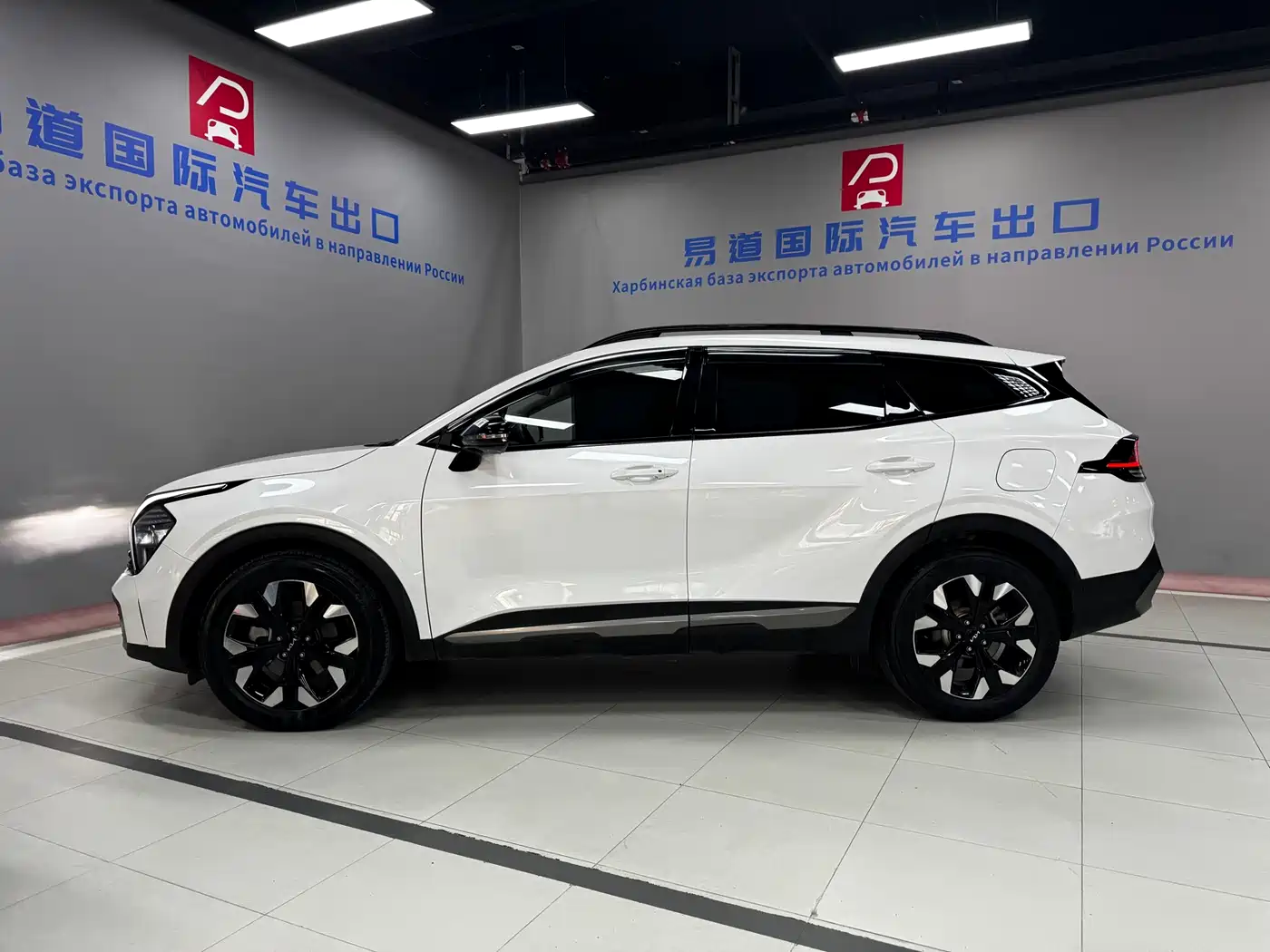 KIA LION PLATINUM EXPANDS THE WORLD