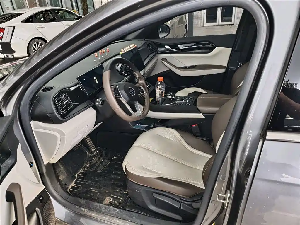 BYD Qin PLUS 2024 Glory Edition DM-i 55KM Leading фото 5