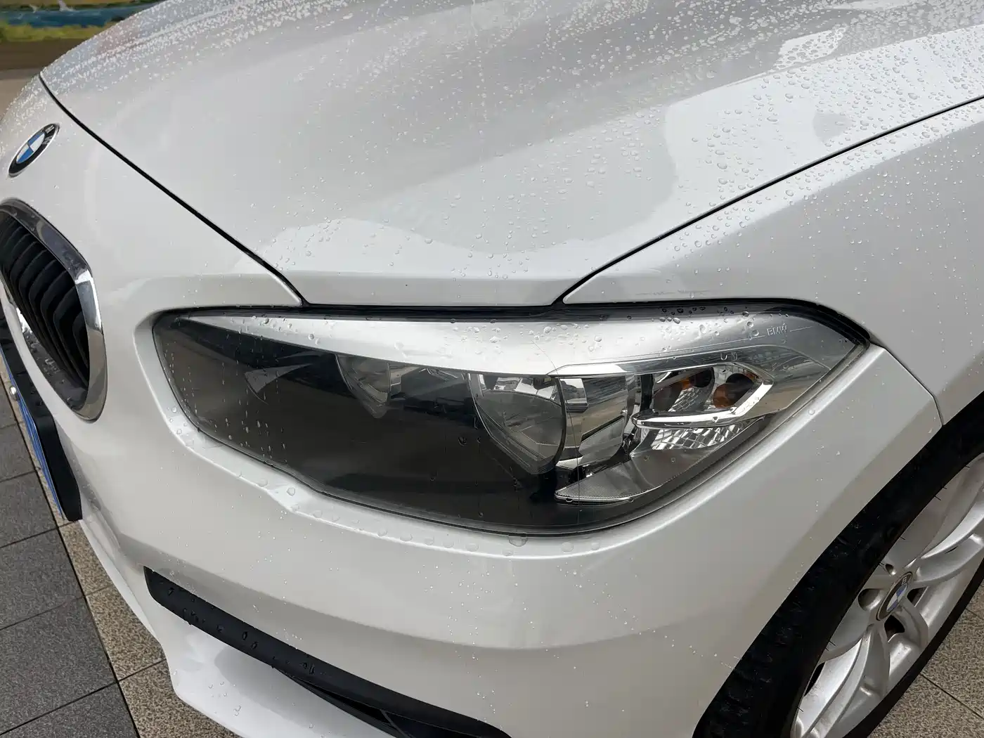 BMW 1 Series (Import) 2016 118i Leading фото 12