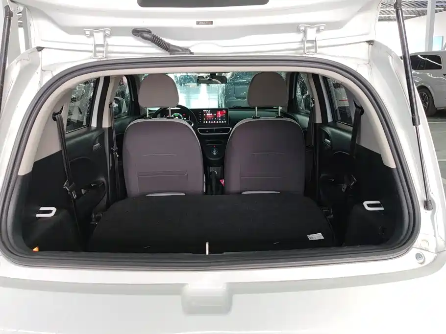 Ora White Cat 2020 2020 360km Standard Model