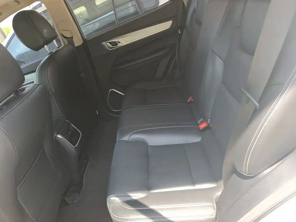 GEELY AUTOMOBILE VISION X6