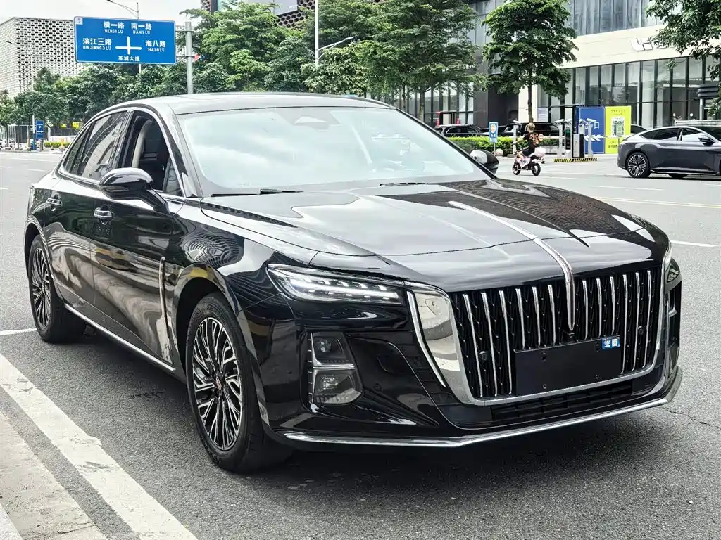 Hongqi H5 2023 2.0T Auto Smart Connect Flag Enjoy фото 3