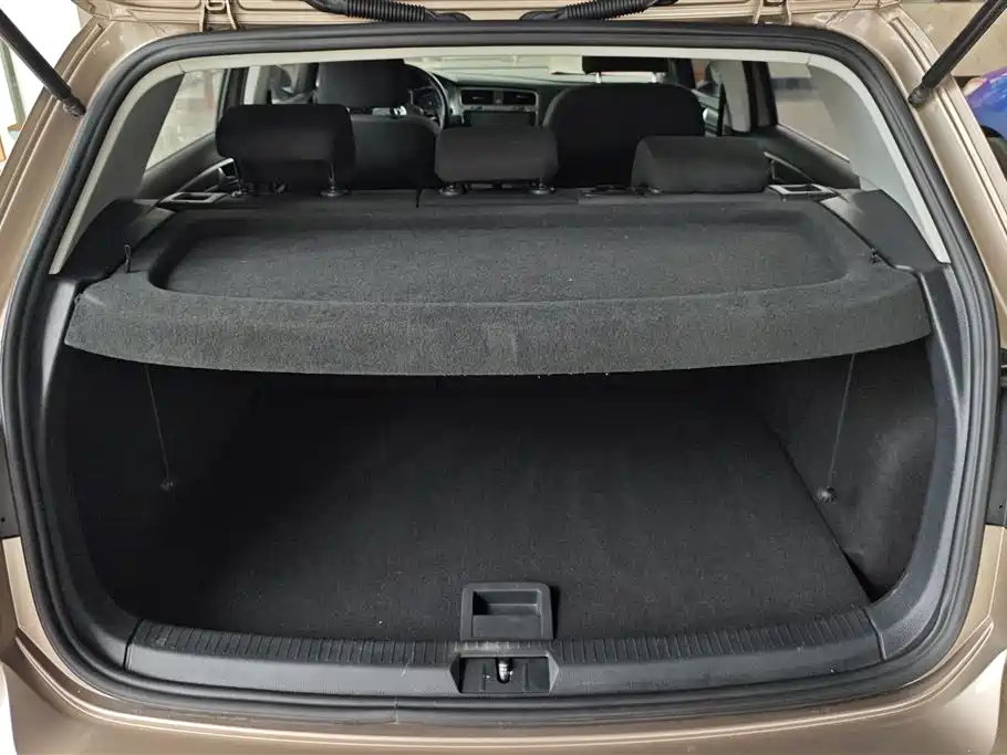 Volkswagen Golf 2016 1.6L Automatic Comfort фото 4