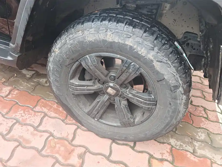 Tank 300 2023 Off-Road Edition 2.0T Conqueror фото 6
