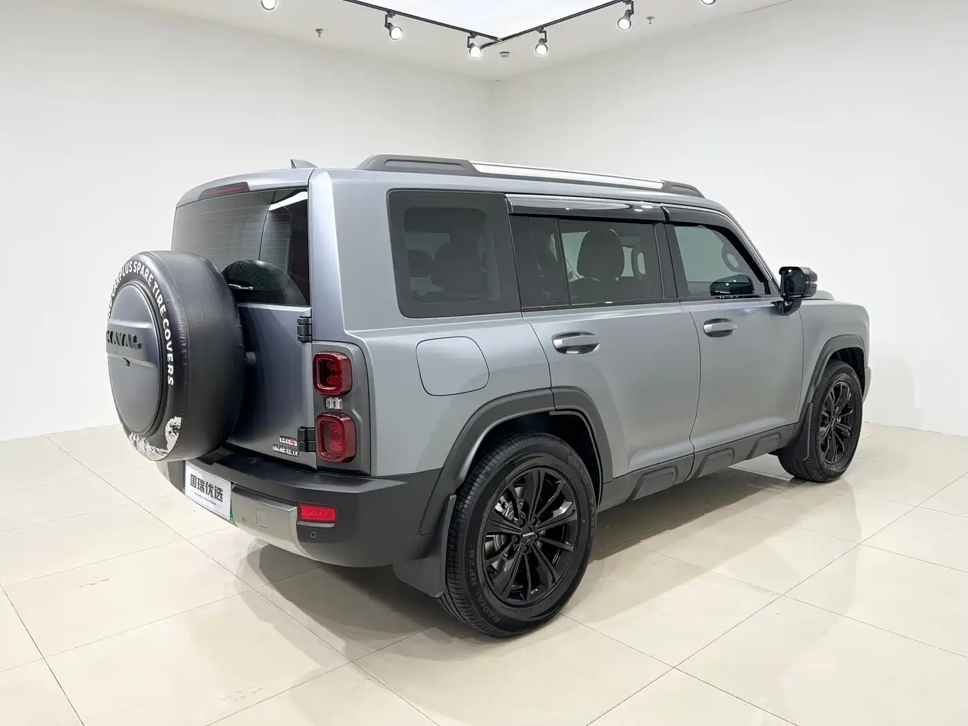 Haval Meng Long NEV 2024 Hi4 145 Cross-country Edition фото 6