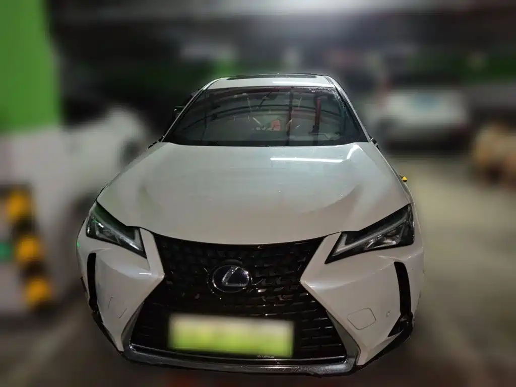 Lexus UX Electric 2021 2020 300e Pure Yue Edition