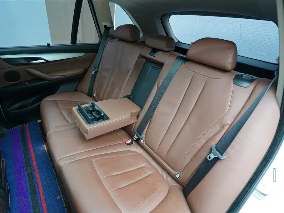 BMW X5 (Import) 2014 xDrive35i Leading фото 14