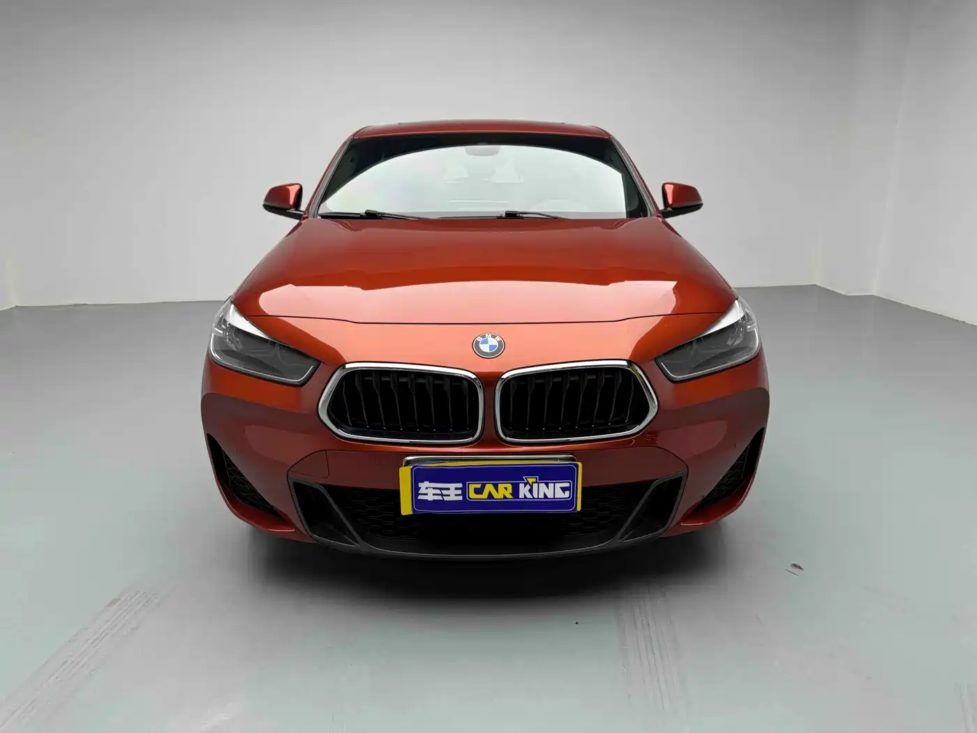 BMW X2 2020 xDrive25i M Sport Package фото 2