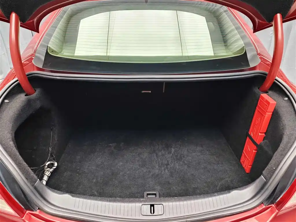 Buick Regal 2009 Model 2.4L Elite Edition фото 19