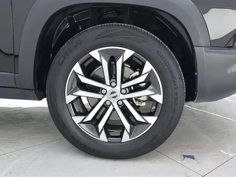 Haval Big Dog 2021 1.5T DCT 2WD Border Collie Edition фото 6