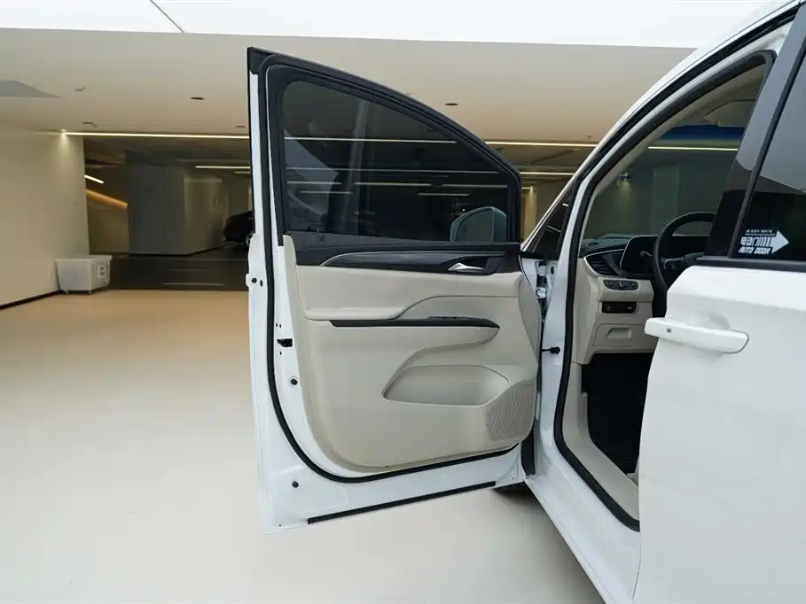 Buick GL8 2023 ES Landmaster Comfort фото 16