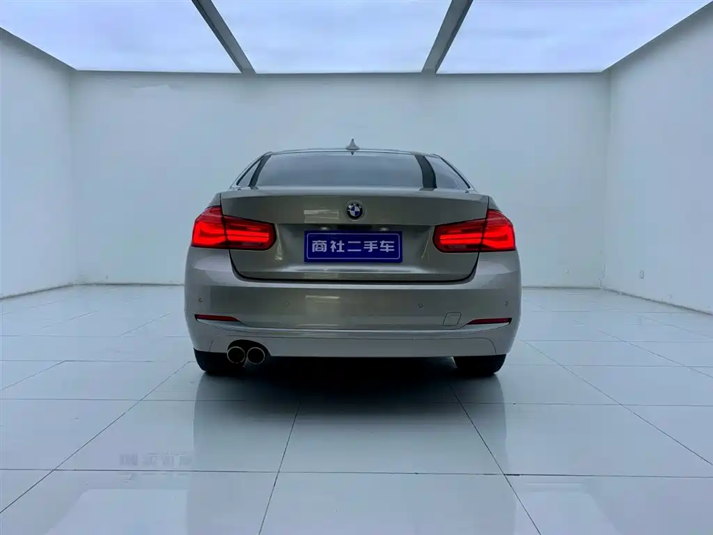 BMW 3 Series 2018 318Li фото 4
