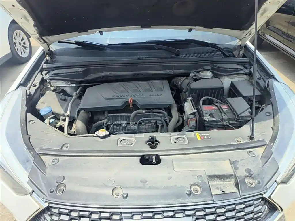 Haval H6 Coupe 2019 1.5T Auto 2WD Elite Edition China VI фото 20